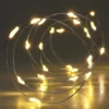 Lyslenke 20 LED varmhvit 1 m
