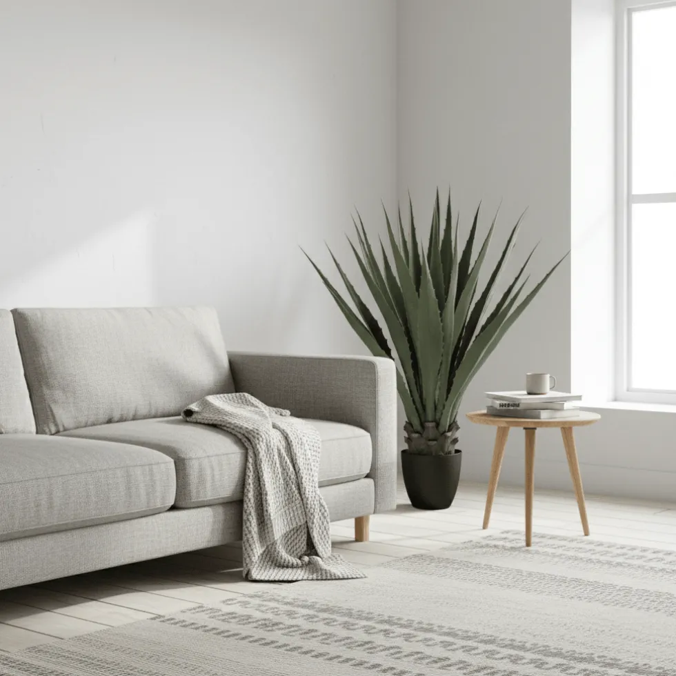 Mr. Plant agave