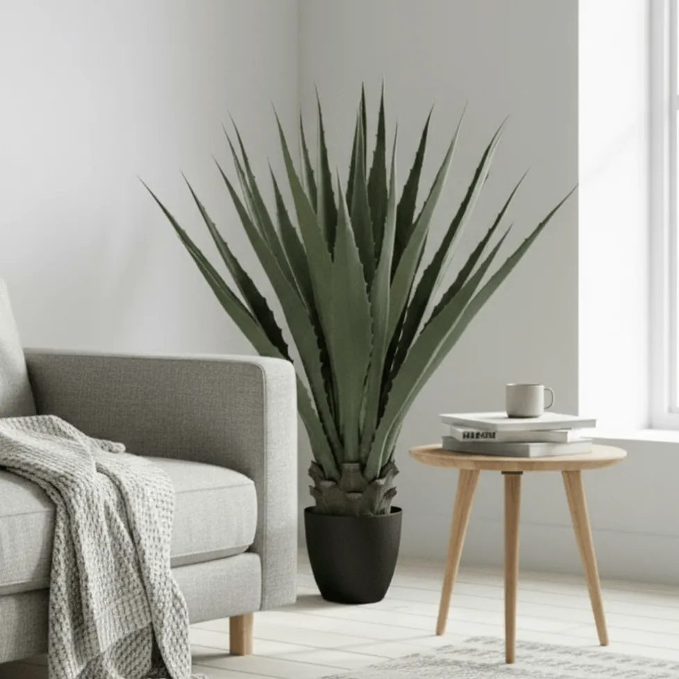 Mr. Plant agave