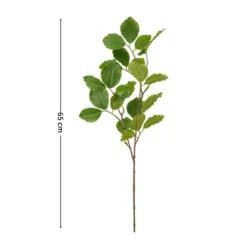 Mr. Plant bøk