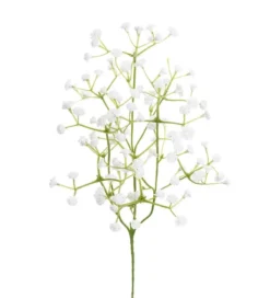 Mr. Plant brudeslør