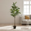 Mr. Plant Fikus Elastica 190 cm
