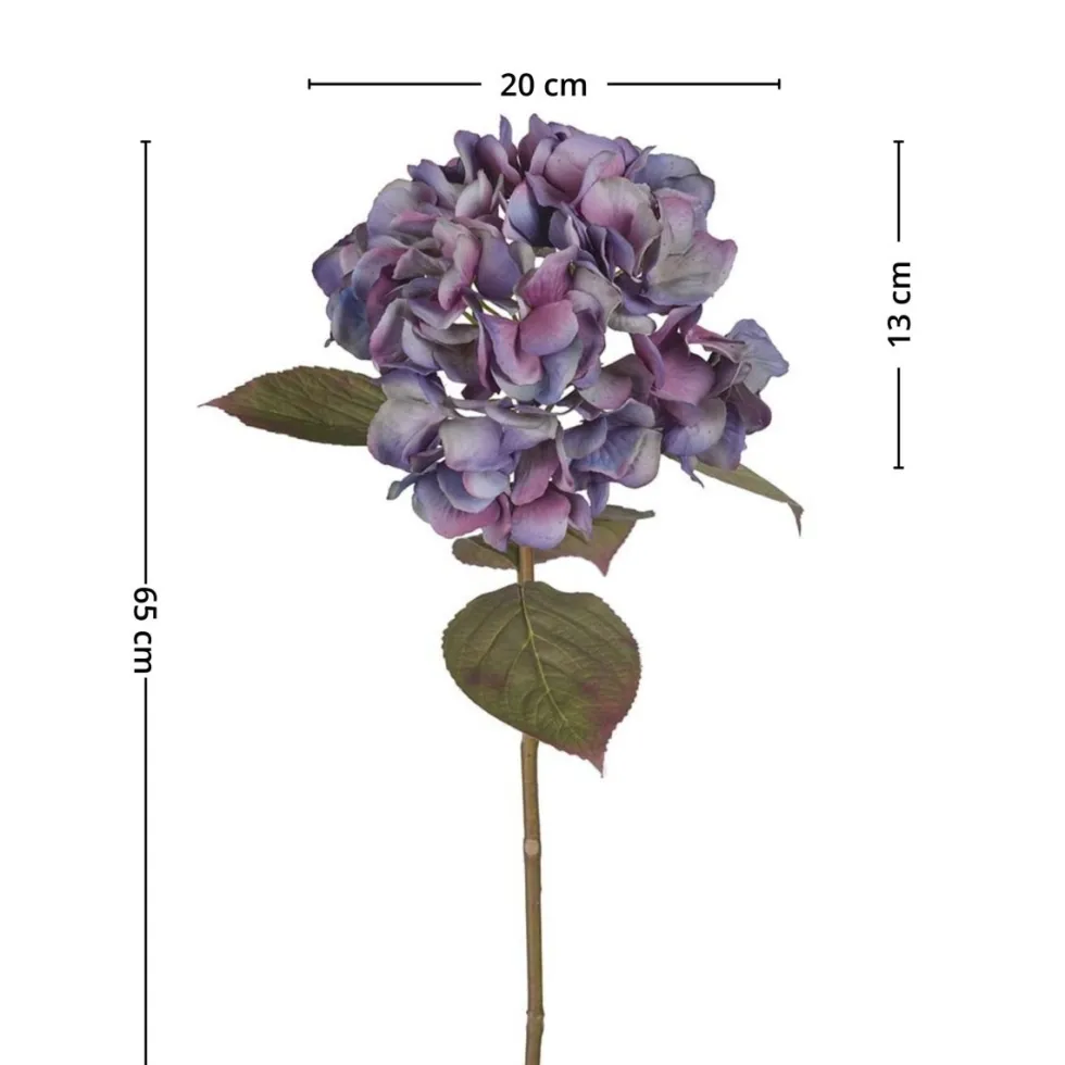 Mr. Plant Hortensia blå/lilla, 65 cm