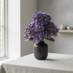 Mr. Plant Hortensia blå/lilla, 65 cm